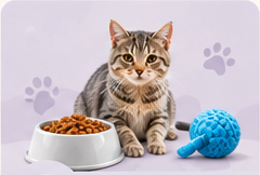 Mealtime & Toys