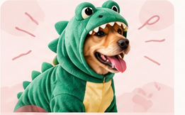 Pet Costumes