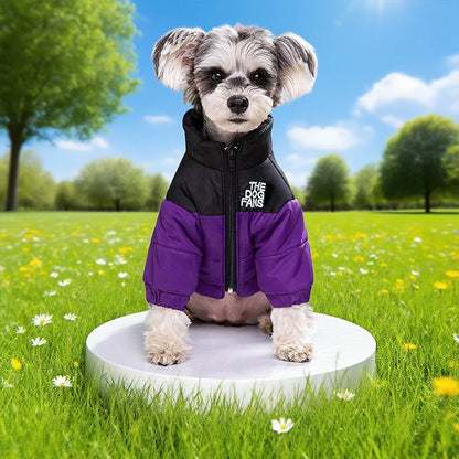 Winter Snow Jacket