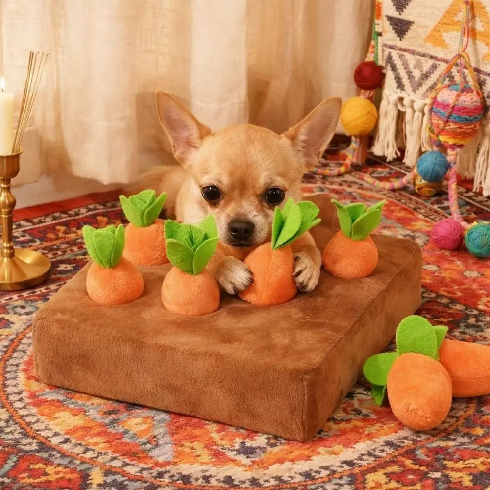 Carrot Snuffle Mat