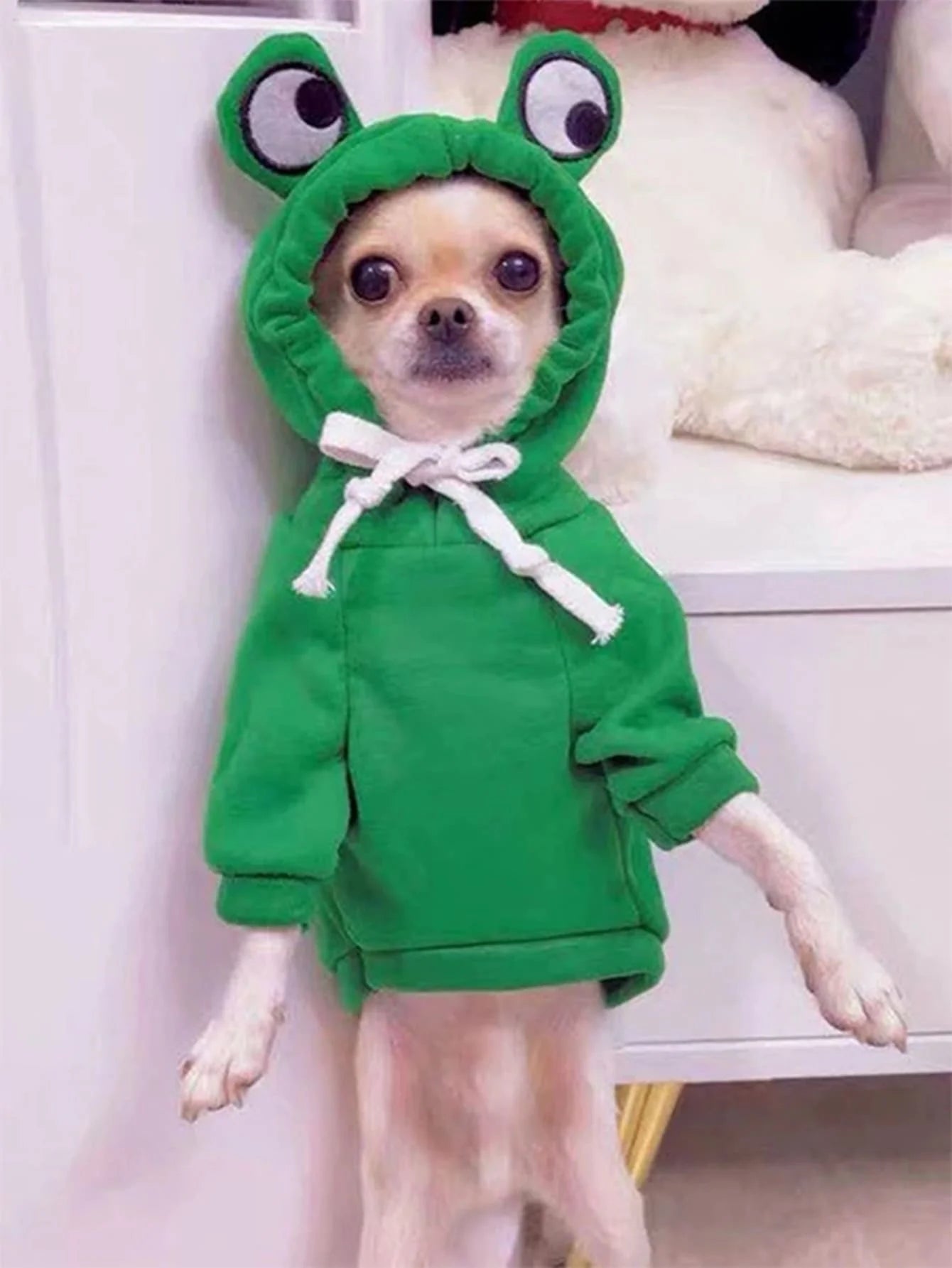 Frog Hoodie for Pets