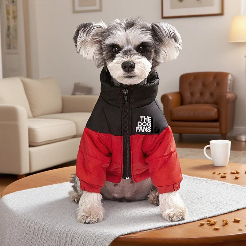 Winter Snow Jacket