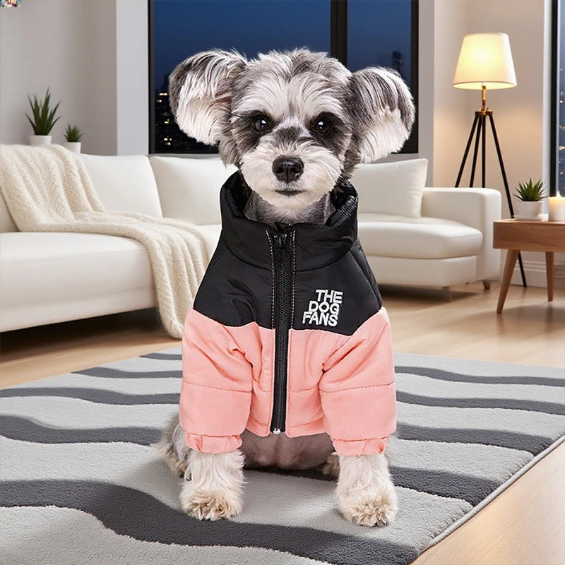 Winter Snow Jacket