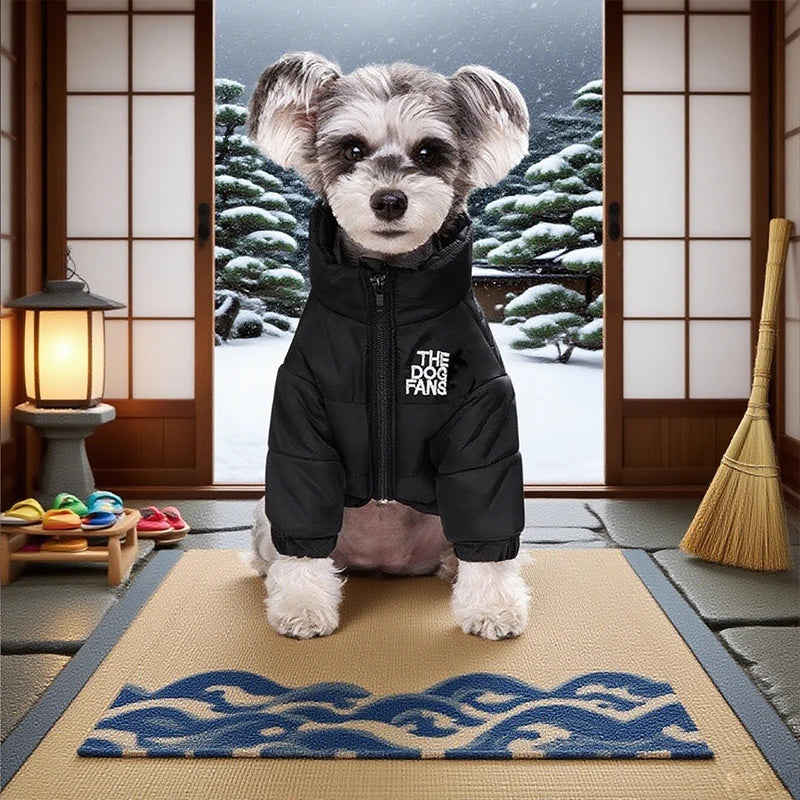 Winter Snow Jacket
