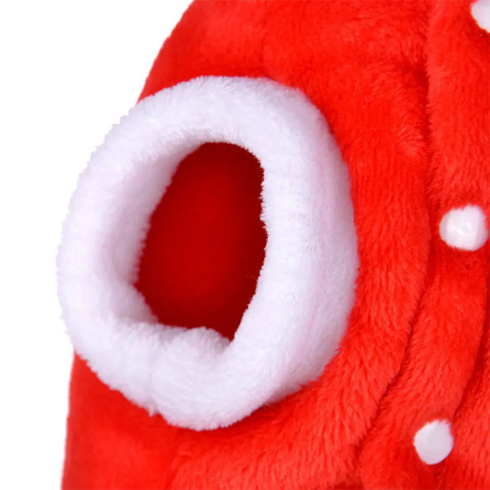 Holiday Pet Costume