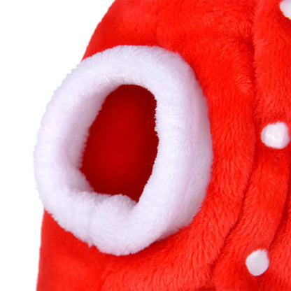 Holiday Pet Costume