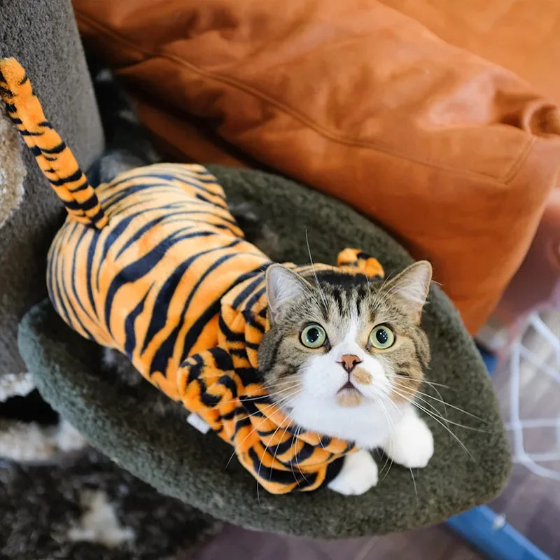 Cozy Costume Set