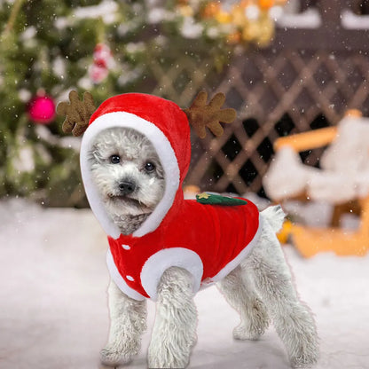 Holiday Pet Costume