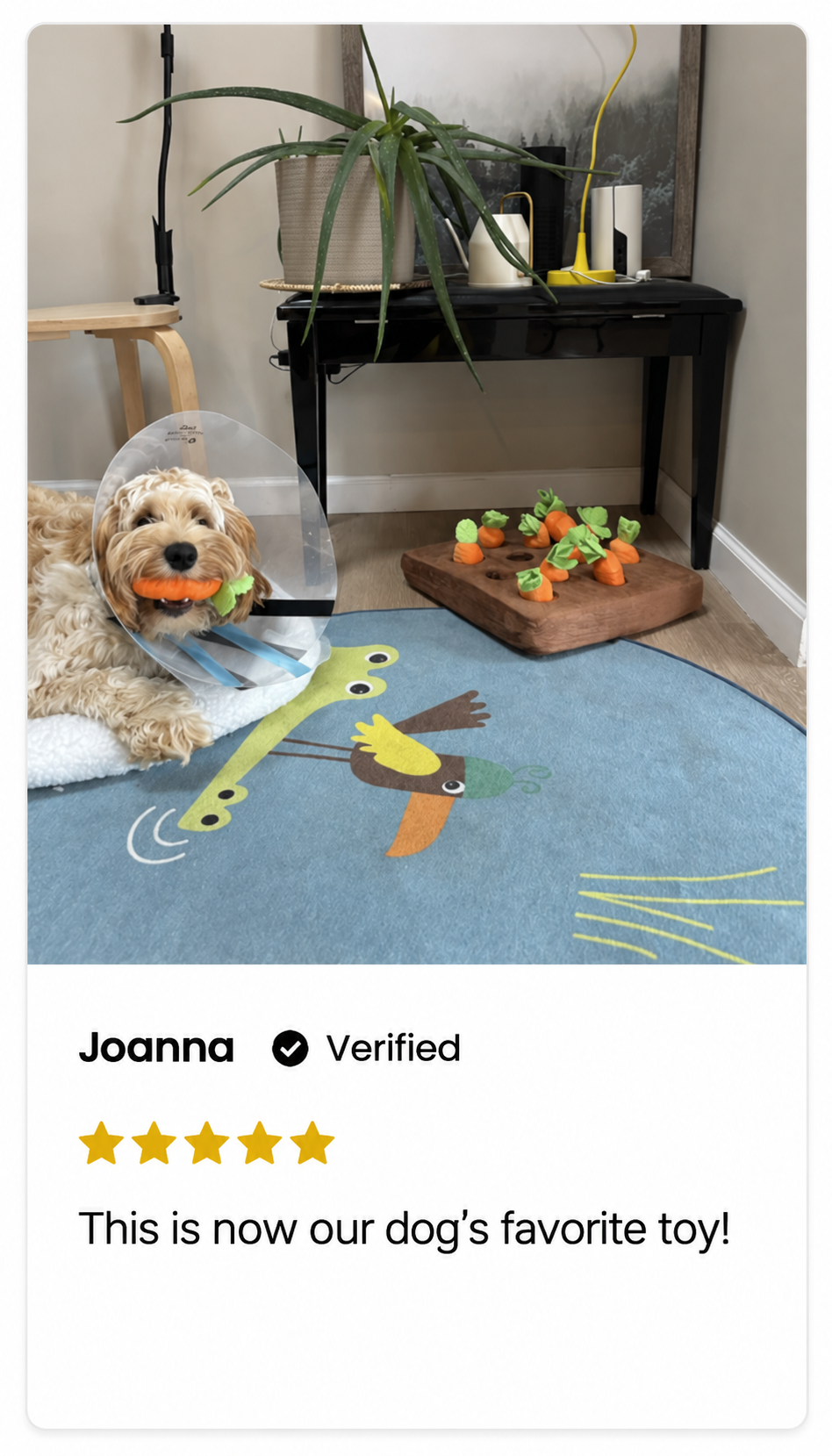 Joanna, 5 out of 5 stars. This is now our dog’s favorite toy!