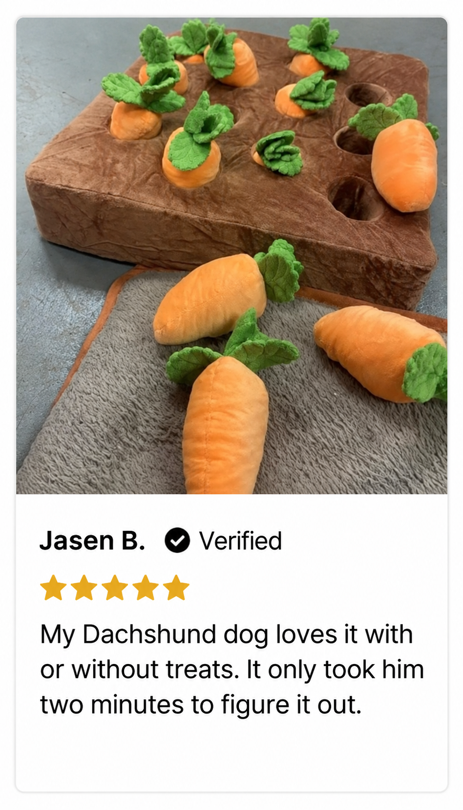 Jasen B., 5 out of 5 stars. My Dachshund dog loves it with or without treats. It only took him two minutes to figure it out.