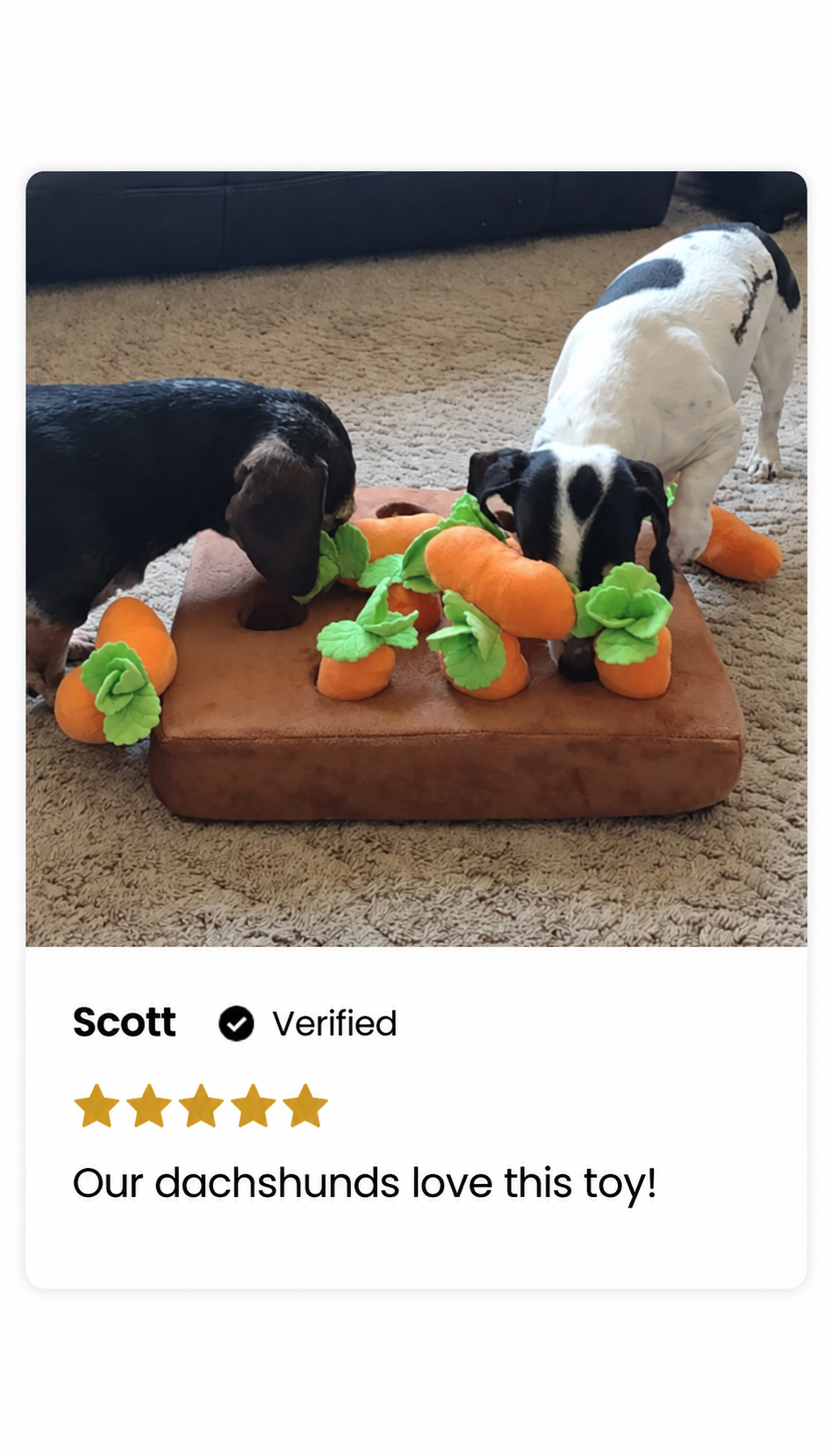 Scott, 5 out of 5 stars. Our dachshunds love this toy!