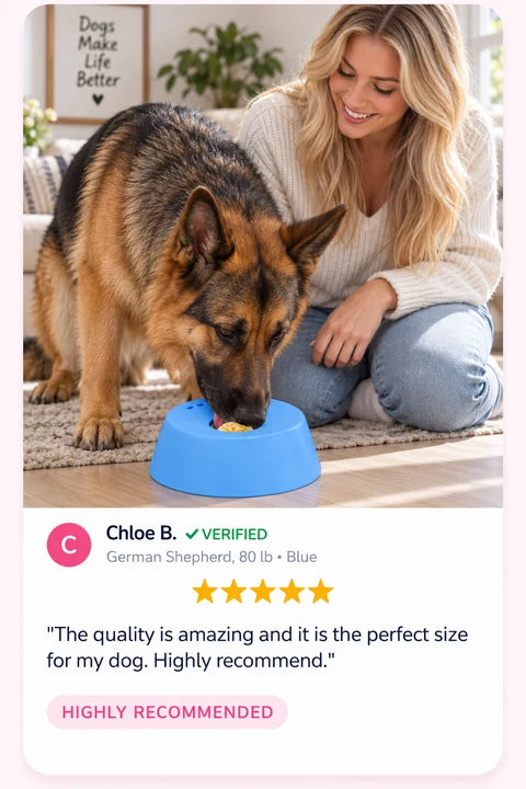 Review by Chloe B.: The quality is amazing and it is the perfect size for my dog. Highly recommend.
