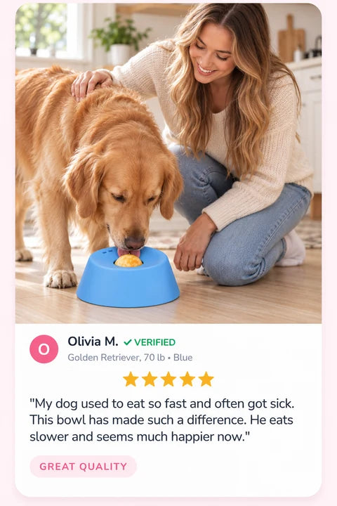 Review by Olivia M.: My dog used to eat so fast and often got sick. This bowl has made such a difference. He eats slower and seems much happier now.