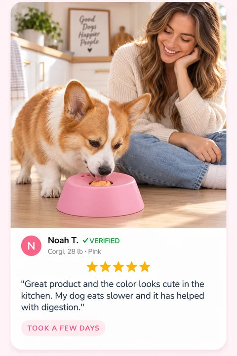 Review by Noah T.: Great product and the color looks cute in the kitchen. My dog eats slower and it has helped with digestion.
