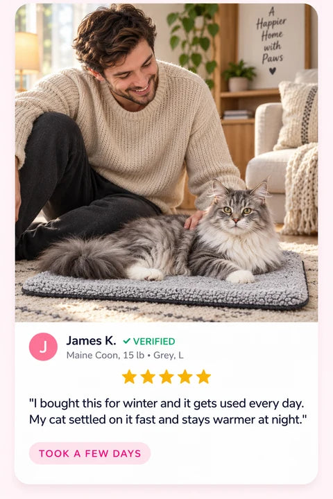 Review by James K.: I bought this for winter and it gets used every day. My cat settled on it fast and stays warmer at night.